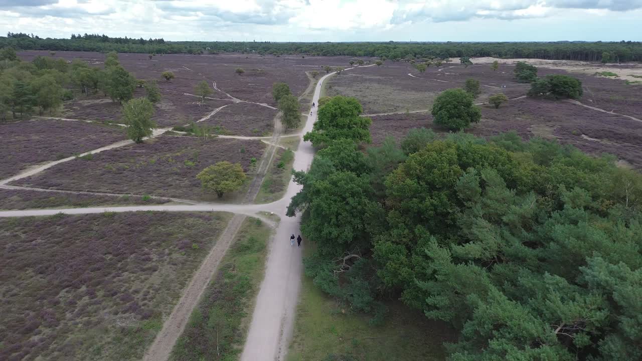 páramo horizonte pradera brezal brezo