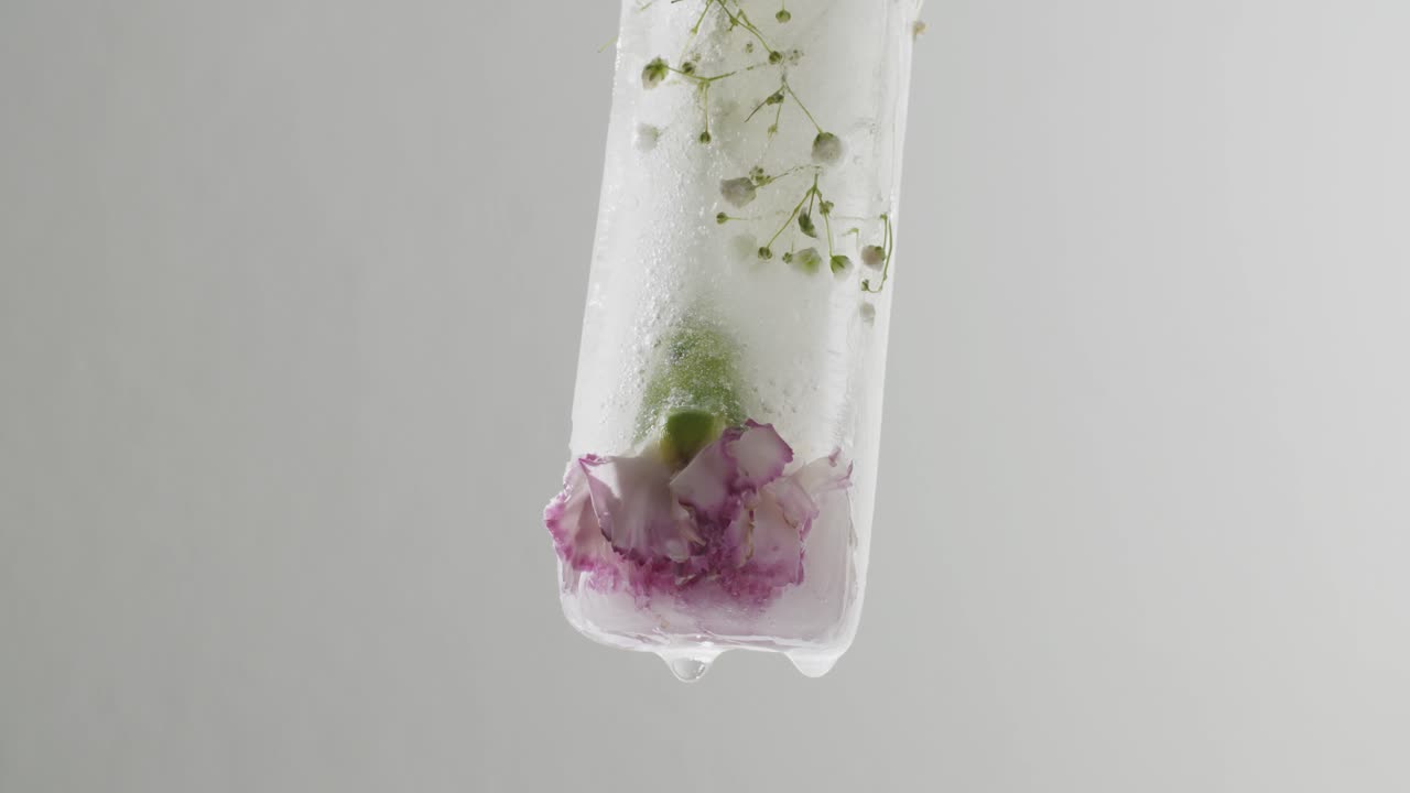 Ripresa in timelapse di un fiore ghiacciato che si scioglie.
