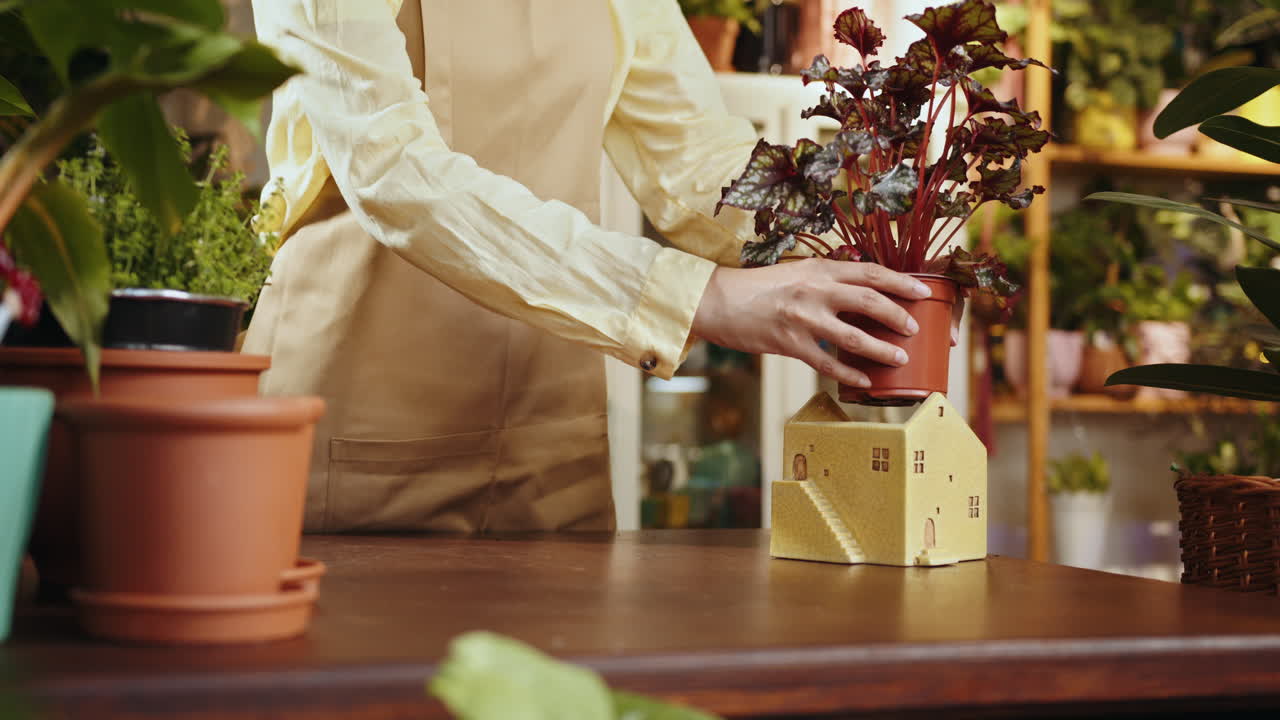 mujer colocando una planta en una olla decorativa