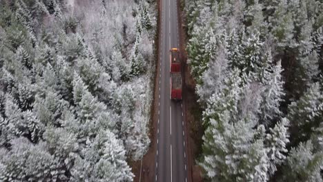 orange truck and several cars passing by on the road in a lush forest during winter season