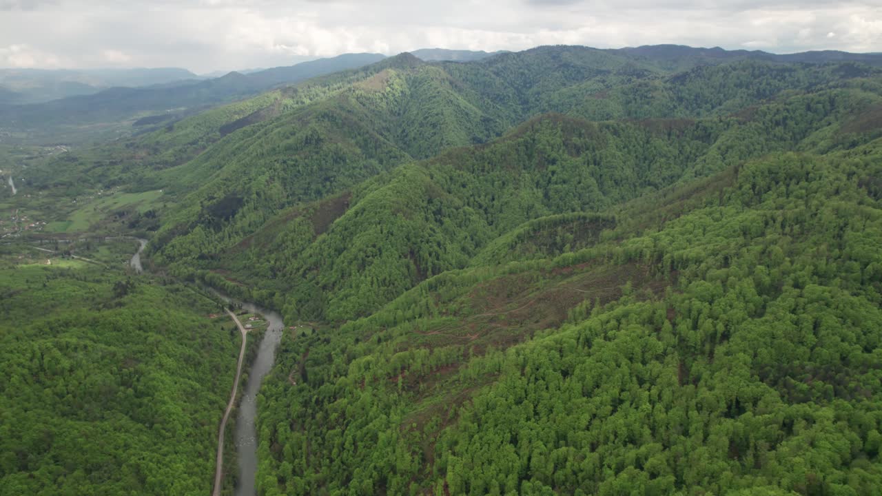 aerial de la zona forestal zavidovici, bosnia y herzegovina, tala ilegal de árboles