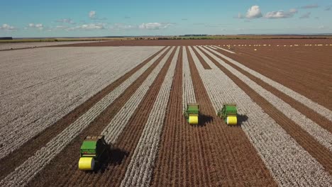 toma aérea siguiendo tractores combinados cosechando algodón de un campo de cultivo