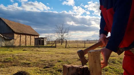 farmer wood cutter chopping firewood and wood logs with small axe hatchet on the farm in a field