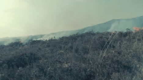 Strauch,-Der-Auf-Waldbrand-Am-Hang-Brennt,-Schwenkschuss