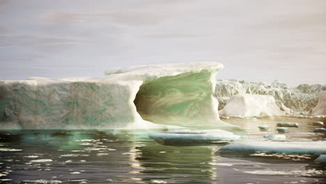 a wide low angle view of melting sea ice floes in still waters of arctic