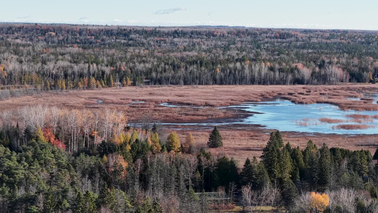 Aerial drone view of forest and wetland with scattered water pools during early fall in wilderness