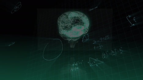 Animación-De-Ecuaciones-Matemáticas-Y-Procesamiento-De-Datos-Sobre-El-Cerebro-Humano