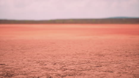 gebarsten droog land zonder water