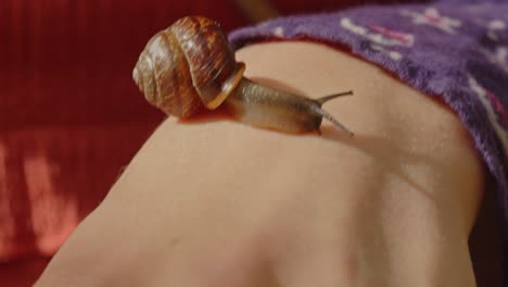 close up of a snail crawling on the hand of a person