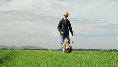 Schäferhund-Geht-Mit-Seinem-Besitzer-Auf-Dem-Bauernhof-Spazieren-4k