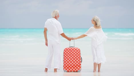 retired senior couple on beach with travel luggage