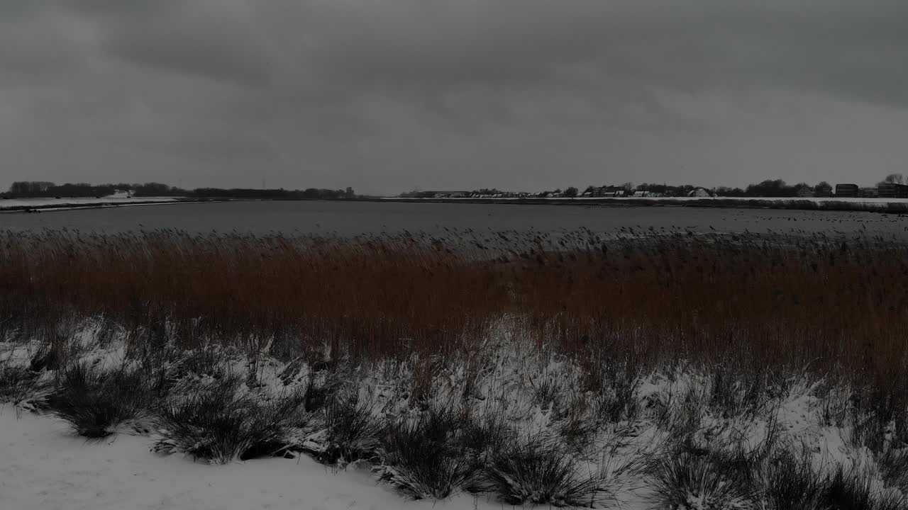 Skyformation over rolig sø med svajende græs og siv om vinteren.