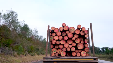 wooden logs loaded on truck for transportation, commercial timber industry