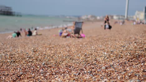 people enjoying a sunny day on the beach