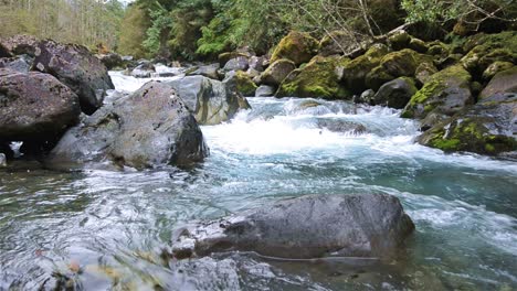 a stream near termas porcelana hot springs in southern chile