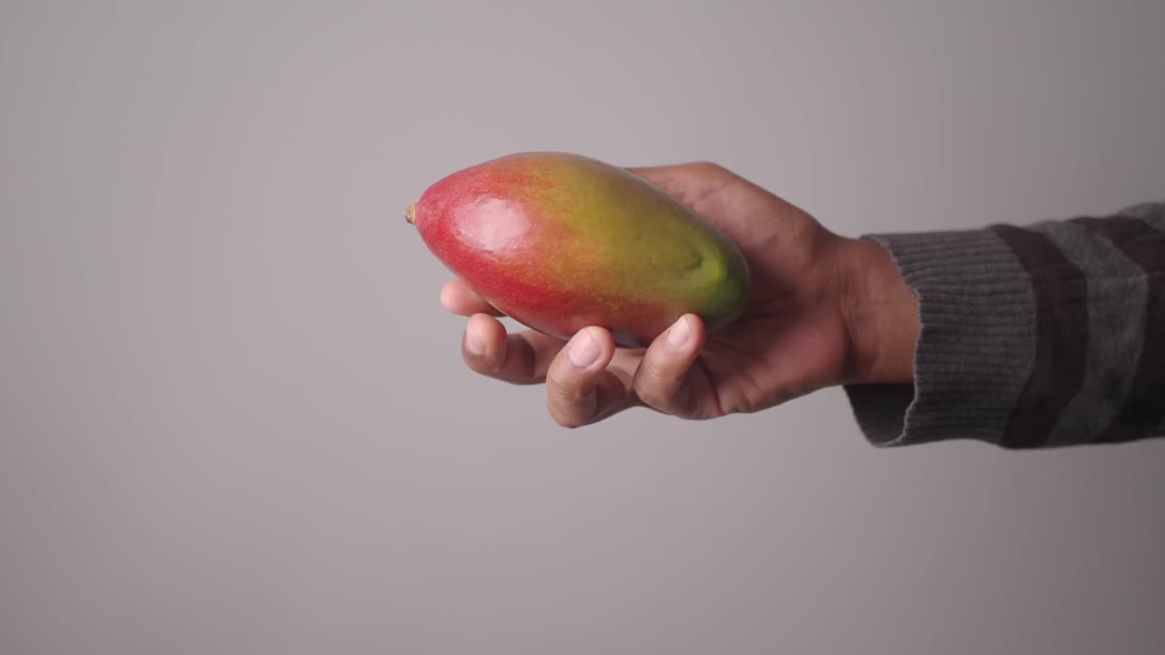 Una mano che tiene un mango fresco e maturo su sfondo grigio.