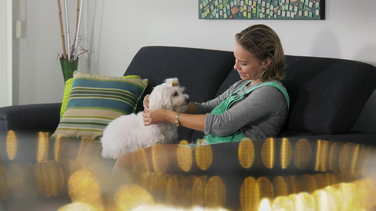 여자 개 소유자 가 애완 동물 에게 룩 목걸이 를 붙이고 있다