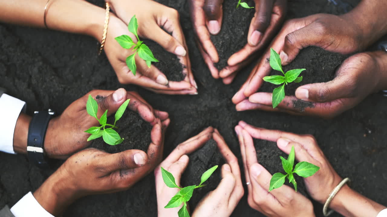 We've all got to start somewhere