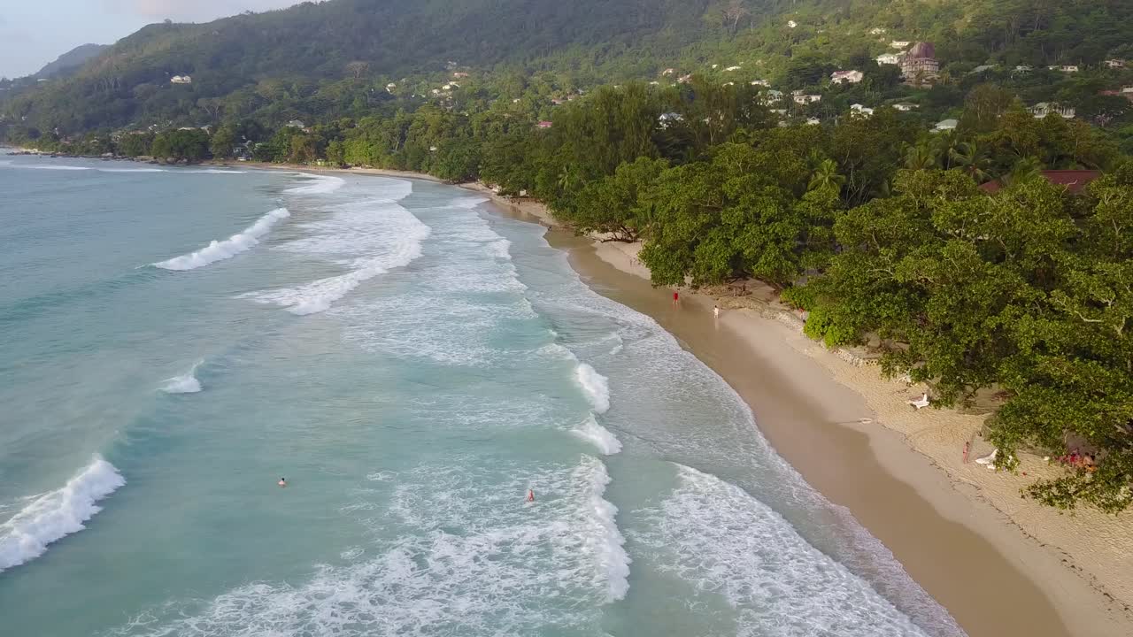 Seychelles beauvallon beach. Palmtree sky and Native natural forest sea ocean