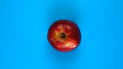 manzana fresca girando sobre un fondo azul de color. jugos de frutas, trópicos y concepto de relajación.