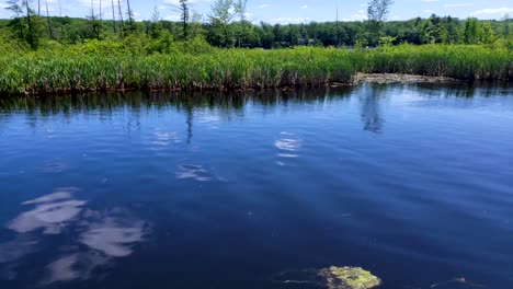 Man-sitting-on-dock-at-the-lake-taking-a-phone-call-on-iPhone-or-android-during-the-summer-on-a-sunny-day-at-the-shore-of-the-canal-with-beautiful-scenery