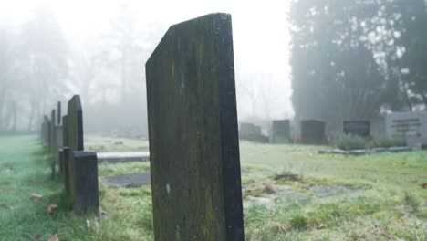 cementerio con niebla al amanecer