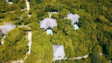increíble lentamente incline hacia arriba revelar toma de drone de una villa de lujo con piscina en el paraíso de la jungla toma de drone en zanzíbar en áfrica tanzania en 2019 naturaleza cinematográfica aérea filmada en 1080, 60p en philipp marnitz