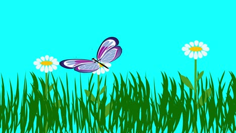 animación de dibujos animados de plantas y flores, pantalla azul tecla de croma, diseño plano