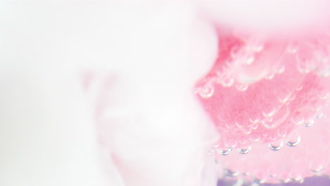 close-up of a pink flower with water droplets