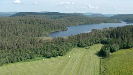 combine harvester working in the field with dense forest and lake in summer