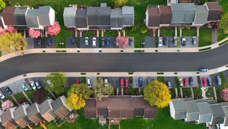 Multicolored-trees-in-american-neighborhood-with-parking-cars-at-sunset