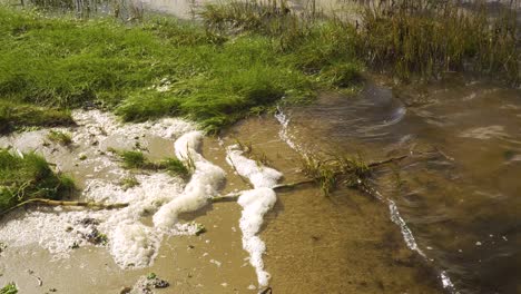 4k river foam settling in the bedside of the ria de aveiro on the estuary of river vouga, 60fps