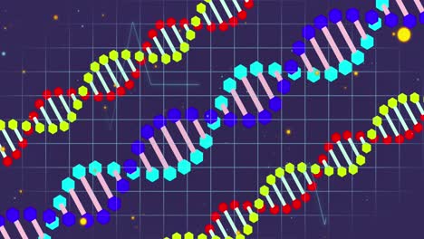 Animación-De-Iconos,-Hebras-De-ADN-Sobre-Procesamiento-De-Datos.