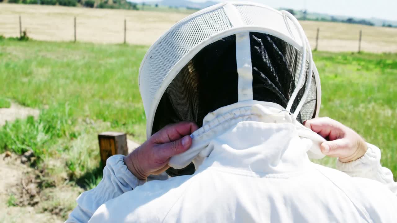 수확 을 준비 하는 동안 벌 의복 을 입은 양봉자