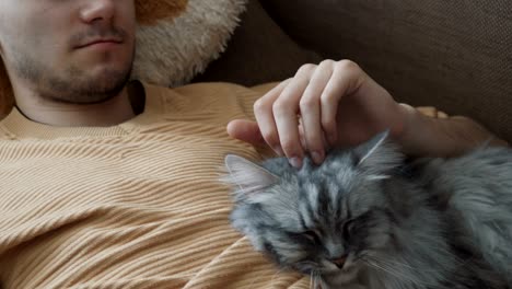 young man with his light gray fluffy cat