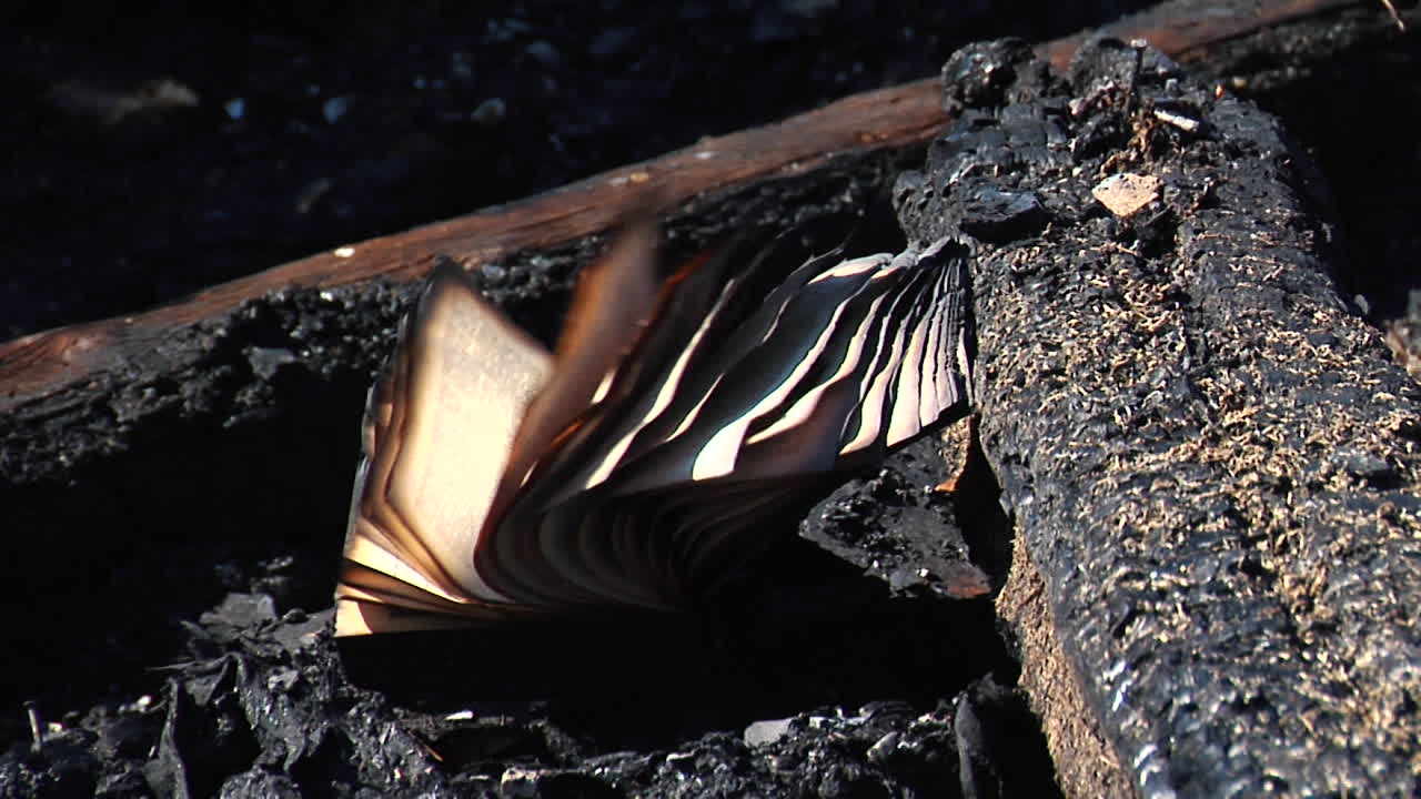 바람에 기어가는 책 페이지