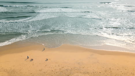 cleaning up of a vietnam beach