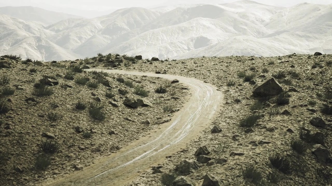 Ruta sinuosa que promete aventura hacia horizontes expansivos