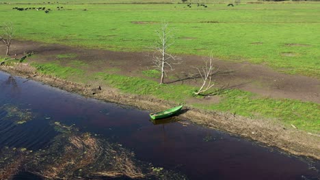 Vista-Aérea-Que-Captura-Un-Barco-Pesquero-Anclado-En-La-Orilla,-Con-Un-Grupo-De-Bisontes-Al-Fondo,-Tomada-Desde-Un-Dron