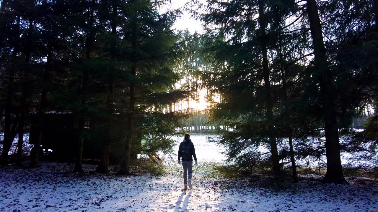 석양에 숲을 탐험하는 배낭을 메고 있는 젊은 여성의 실루엣