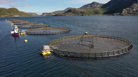 aerial footage farm salmon fishing in norway