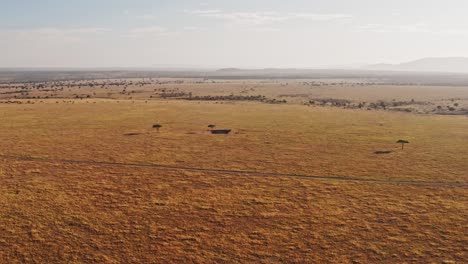 Masai-Mara-Aerial-drone-shot-of-Africa-Landscape-Scenery-of-Savannah-Plains-and-Grassland,-Acacia-Trees-High-Up-View-Above-Maasai-Mara-National-Reserve-in-Kenya,-Wide-Establishing-Flying-Over