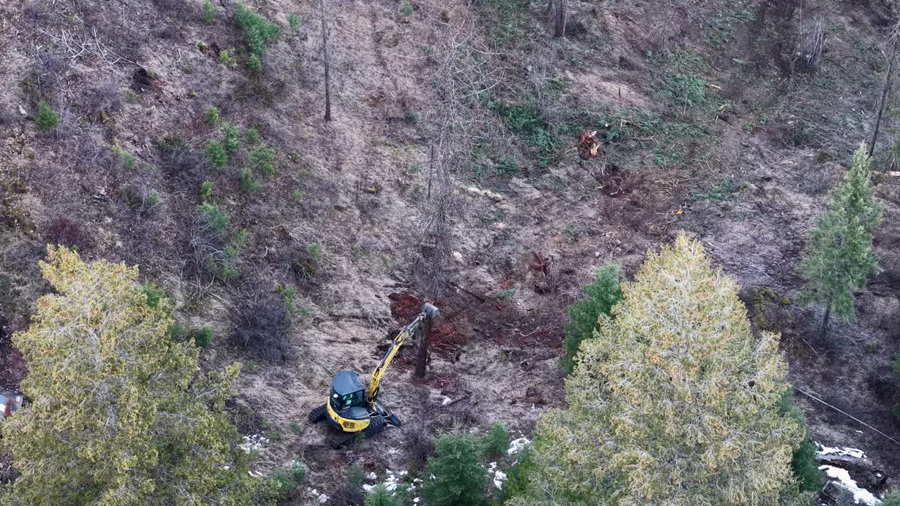 Aerial view of a hillside where a yellow excavator is clearing brush and trees among sparse evergreens and shrubs on sloping ground