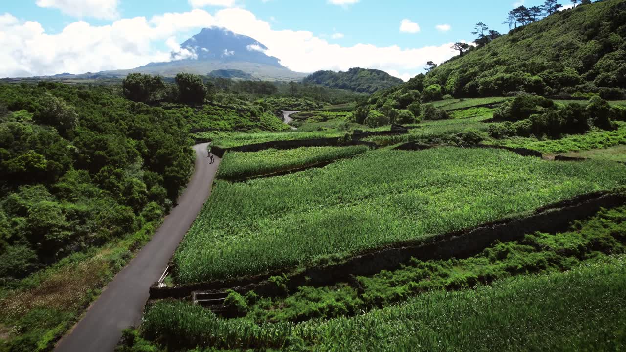 Azores, Picos island volcano behind Vineyards and a winding cycling road