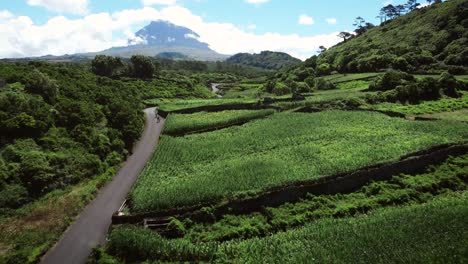 Azores,-Picos-island-volcano-behind-Vineyards-and-a-winding-cycling-road