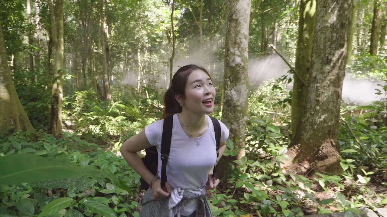 Woman Hiking in a Lush Tropical Forest