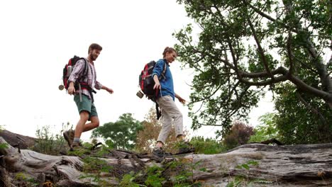 couple walking on a tree trunk