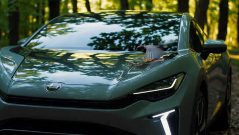 bird on a modern electric car in a forest