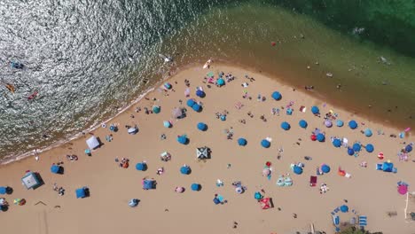 tropical beach with umbrellas - holiday concept - aerial top down