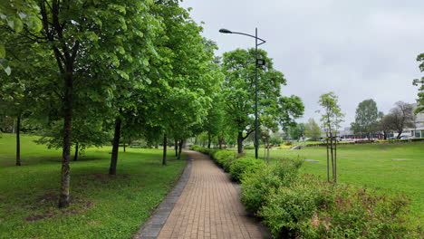 caminando en el parque húngaro de europa